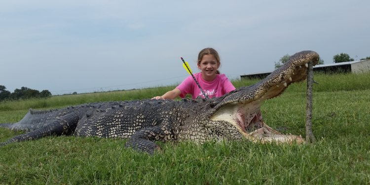 Buaya yang Menyerang Seorang Gadis 19 Tahun di Indragiri Hilir Akhirnya Ditangkap